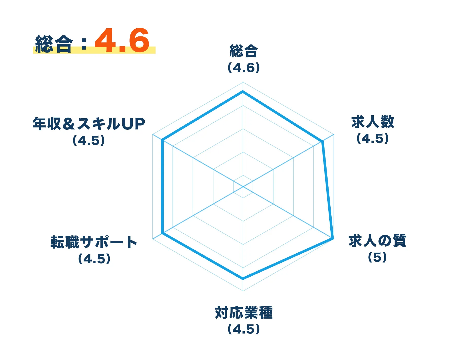 レーダーチャート