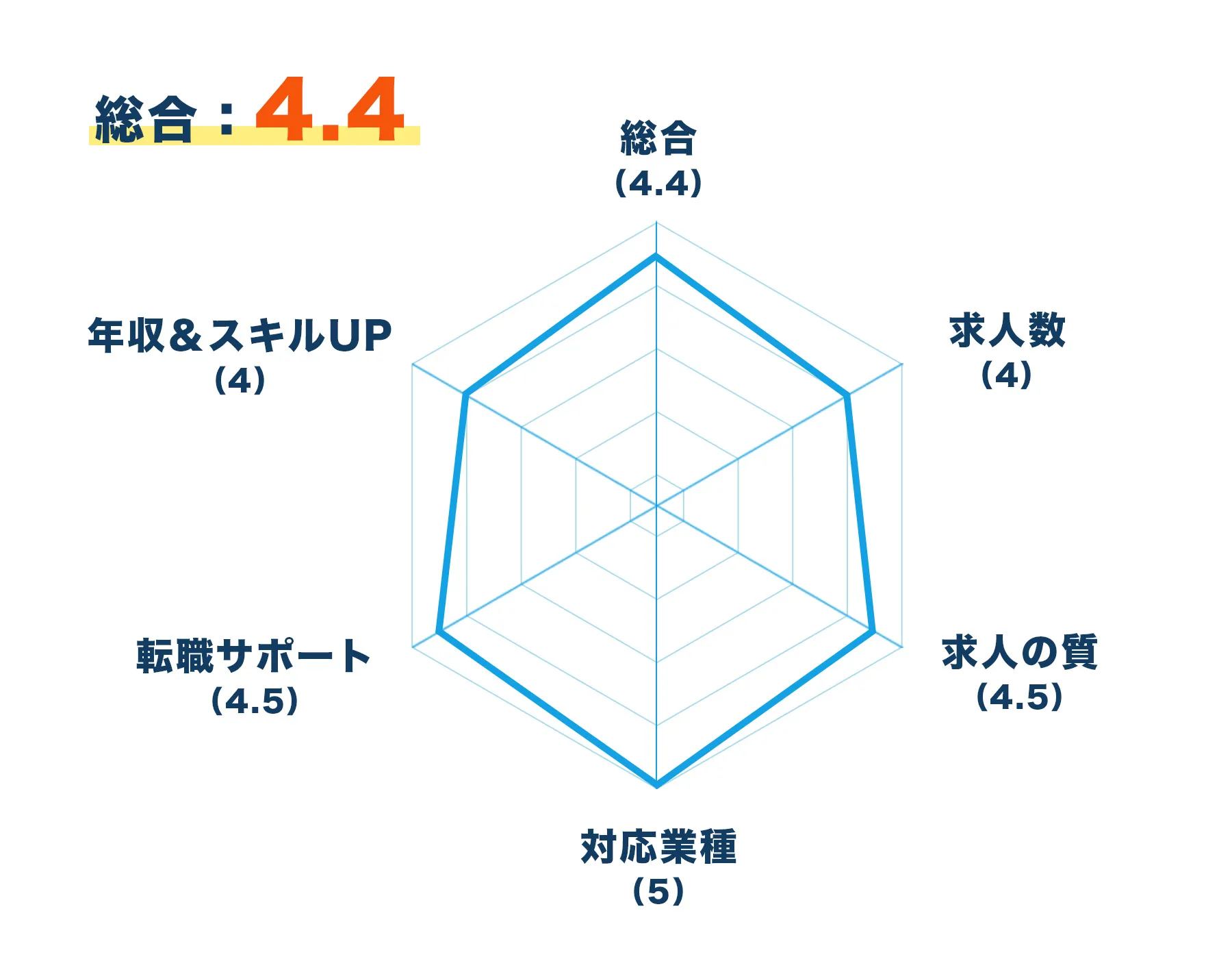 レーダーチャート